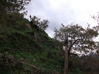cantara gurne23122011 218